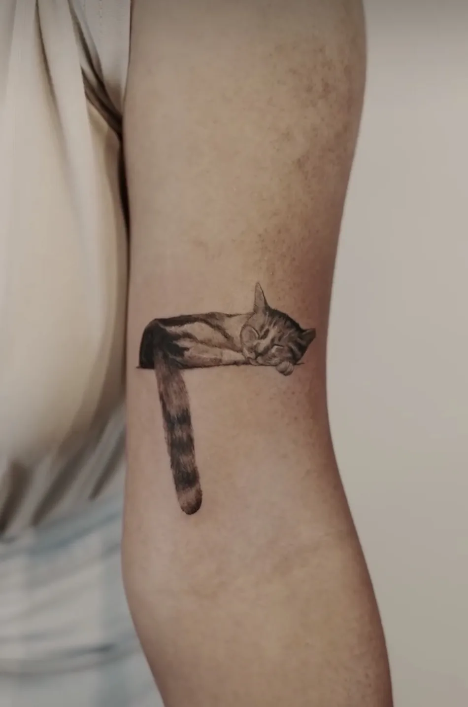 Sleeping cat tattoo by Christian Cruz